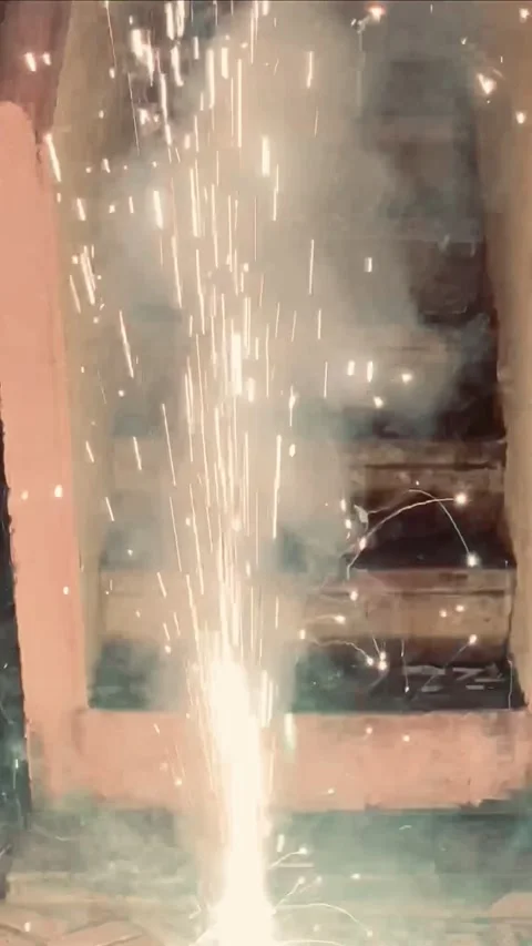 Reverse effect of a flower pot with sound Stock Footage 274657480