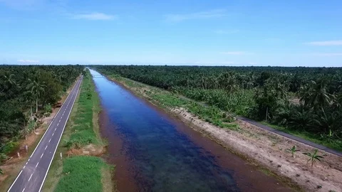 Reverse fly at river Stock Footage 86501045