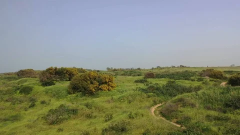Reverse Flying above field of flowers and wheat Stock Footage 127244755