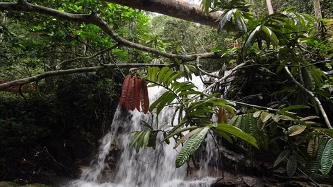 Reverse footage of wilderness of jungle rainforest waterfall tilt up motion Stock Footage 84963829