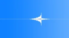 Reverse gong stadium reverb 2 Sound Effect