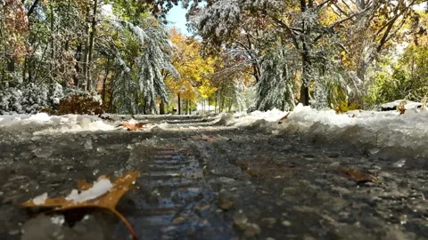 Reverse motion after Halloween storm in Michigan. Stock Footage 255308196
