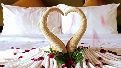 Reverse motion of red rose petals from two swan from towel. Vídeo Stock 103512287