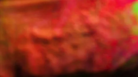 Reverse movement exploding of colorful powder symbol word war.Slow motion video Video stock 255198566