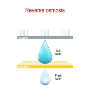 Reverse osmosis. two drops of  water and membrane. Stock Illustration