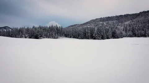 Reverse overhead dolly shot above snow covered field away from thick tree lin Stock Footage 125491083