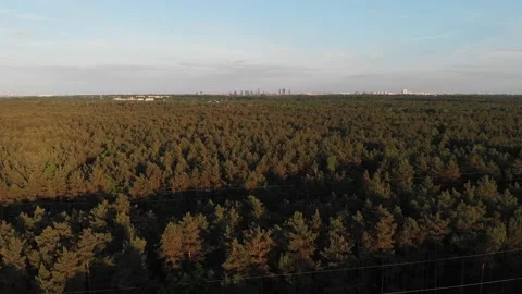 Reverse reveal shot flying over Kampinoski National Park near Warsaw, Poland Stock Footage 155101918