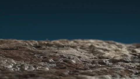 Reverse side of birch bark, looking like landscape. Complex texture. Macro shot. Stock Footage 293924585