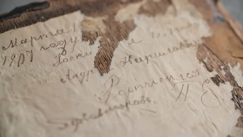 Reverse side of the cover of an old book with a binding made of wood Stock Footage 166944872