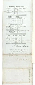 Reverse side of Muster roll for HMS Theseus, 6th Jan 1799 Stock Illustration