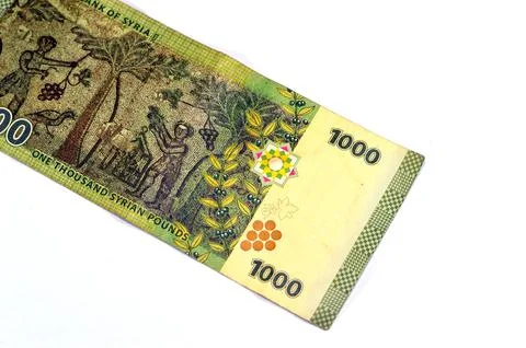 Reverse side of One Thousand Syrian pounds banknote issued by the central b.. Stock-Fotos