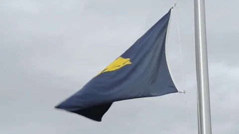 Reverse side of the Oregon State flag Stock Footage 75455394