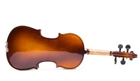 The reverse side of a violin on a white background 스톡 사진