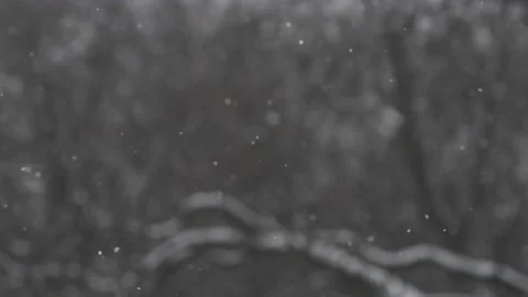 Reverse slow motion snowflakes falling. Snow falling back to the sky. Stock Footage 147712200