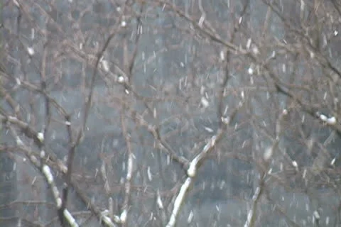 Reverse Snow Video stock 22618537