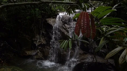 Reverse speed slow motion footage of wilderness of waterfall cascade Stock Footage 84920259