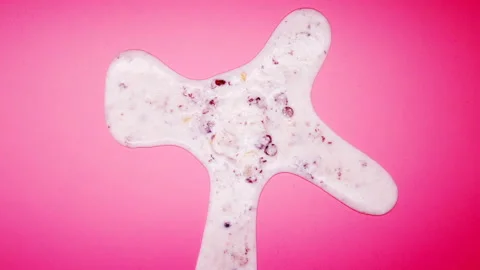 Reverse of top view chestnut and red bean ice cream ball melting timelapse Stock Footage 108085938