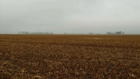 Reverse tracking shot along muddy cornfield from house Stock-Footage 100416516