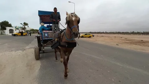 Reverse tracking shot of horse pulling carriage with tourists Stock Footage 280690391