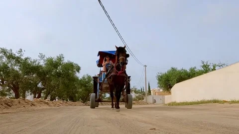Reverse tracking shot of horse pulling carriage with tourists in tunisia Stock Footage 280879229