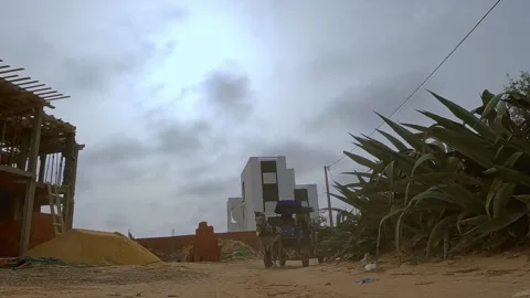 Reverse tracking shot of horse pulling carriage in Djerba Vidéo 280879250