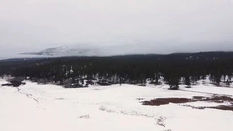 Reverse tracking shot over vast snow covered field away from thick evergreen Stock Footage 125278068