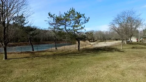 Reverse Tree Aerial Shot Video stock 77631103