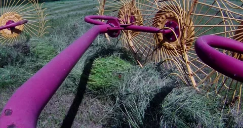 Reverse view of one wing of a hay rake turning a swath of hay Stock Footage 201981916