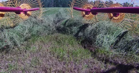 Reverse view of Raking Hay Stock Footage 201983256