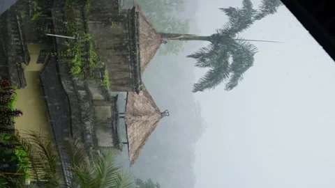 Reversed raindrops, rain in a Hotel in the middle of a Forest, Vertical view Stock Footage 243526328