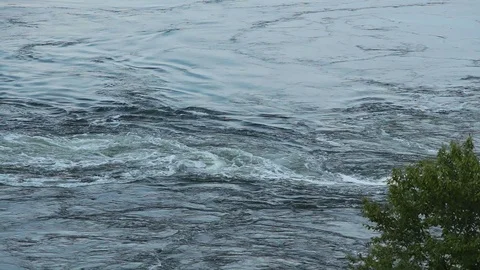 Reversing Falls Low Tide Whirlpool Stock Footage 113876364