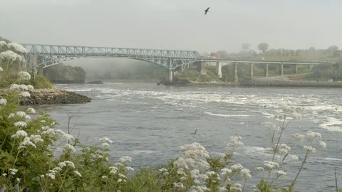 Reversing falls in slow motion with bridge flowers and birds, 4k Stock Footage 112274173