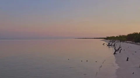 Revitalizing scenery Video stock 102934605