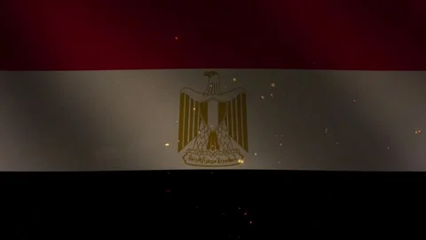 Revolution Day in Egypt concept celebration with Fireworks and Waving flag Stock Footage 313345031