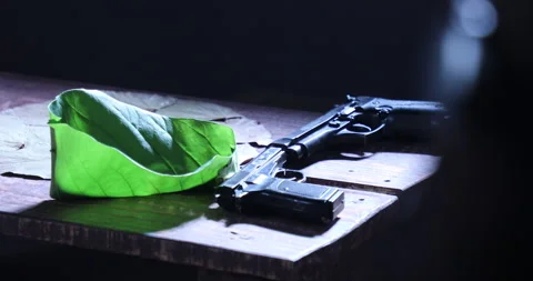 Revolvers and Empty Leaf Stock Footage 303913746