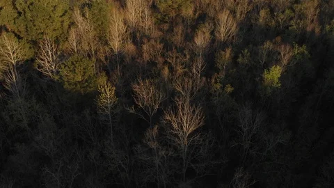 Revolving Drone View Beautiful Forest Sunset Rural Farmland 4K Stock Footage
