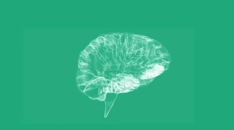Revolving transparent human brain graphic Stock Footage