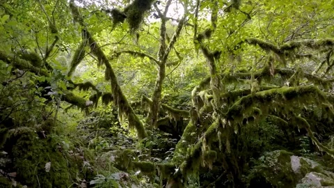 Revotano Stock Footage 287489650