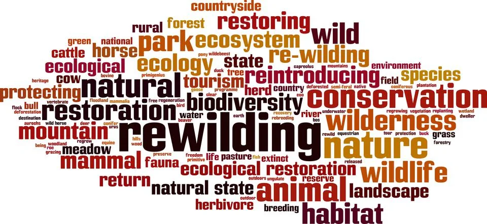 Rewilding word cloud Stock Illustration