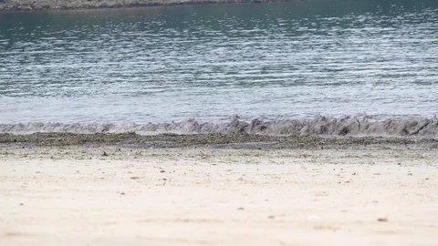 RF Waves Beach 001 Stock Footage 109441615