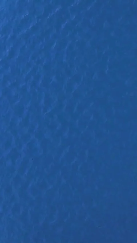 RF0125451 Stock Footage 265051038