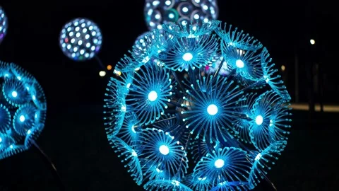 RGB flowers Stock Footage 151401453