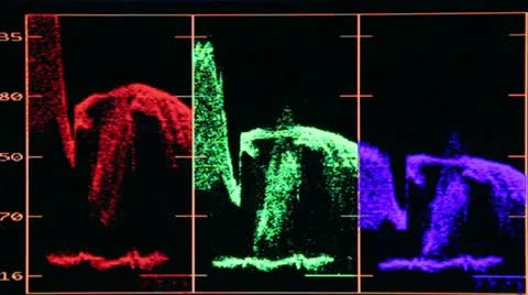 RGB Parade Stock Footage 21876282