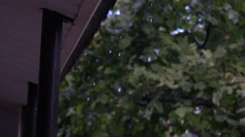 Rgg Stock Footage 138903023