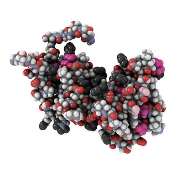 Rgs domain molecule Stock Illustration