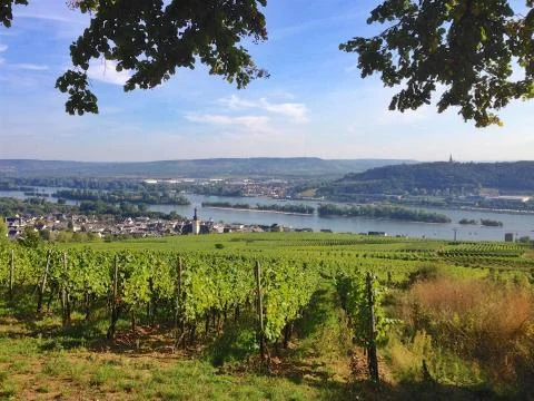 Rheingau Stock Photos