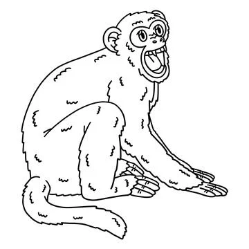 Rhesus Macaque Monkey Isolated Coloring Page Stock Illustration