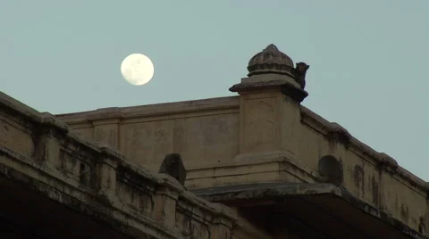 Rhesus Macaque monkeys on a rooftop Vídeo Stock 44910907