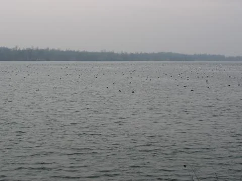 Rhin river during winter Stock Photos