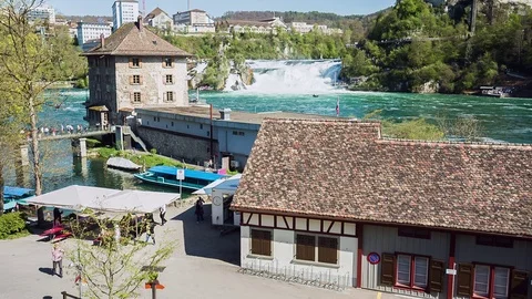 Rhine Falls Видео 75149883